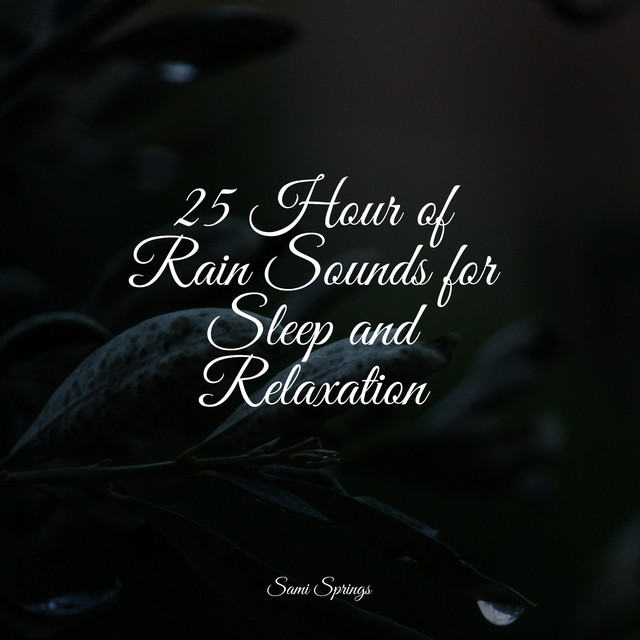 25 Hour of Rain Sounds for Sleep and Relaxation - Album by Chakra ...