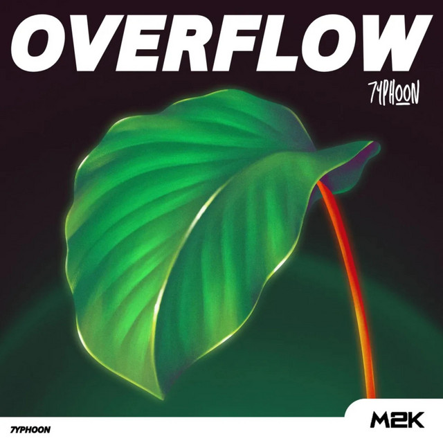 Overflow cover art