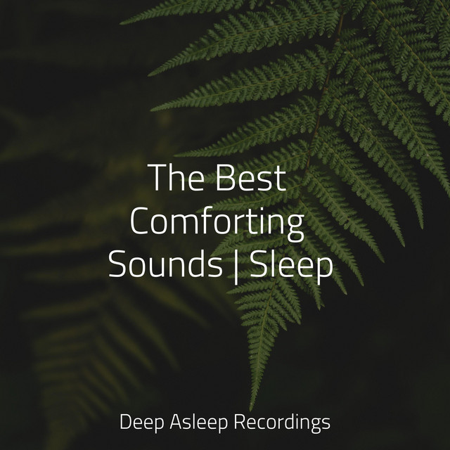 The Best Comforting Sounds | Sleep - Album by Rain for Deep Sleep | Spotify