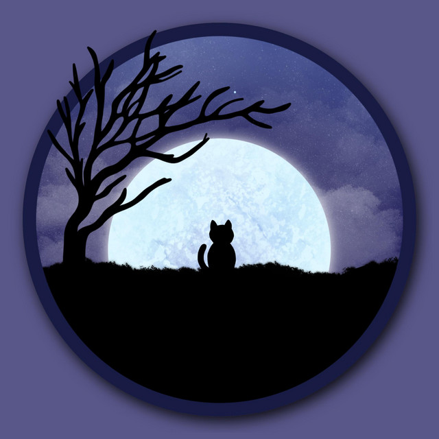 Comfy Nights cover art
