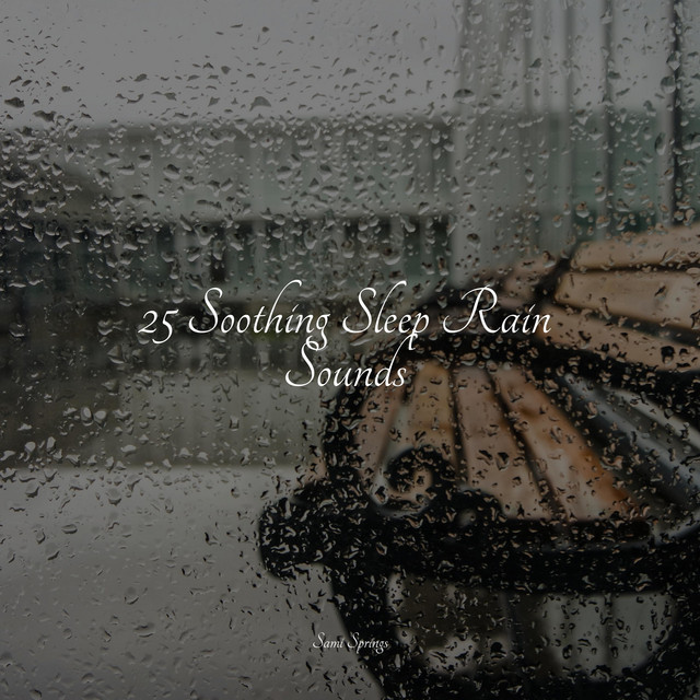 25 Soothing Sleep Rain Sounds - Album by Water Soundscapes | Spotify