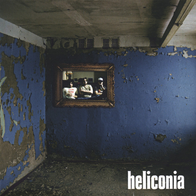 Heliconia cover