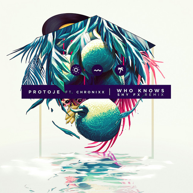 Who Knows - Shy FX Remix
