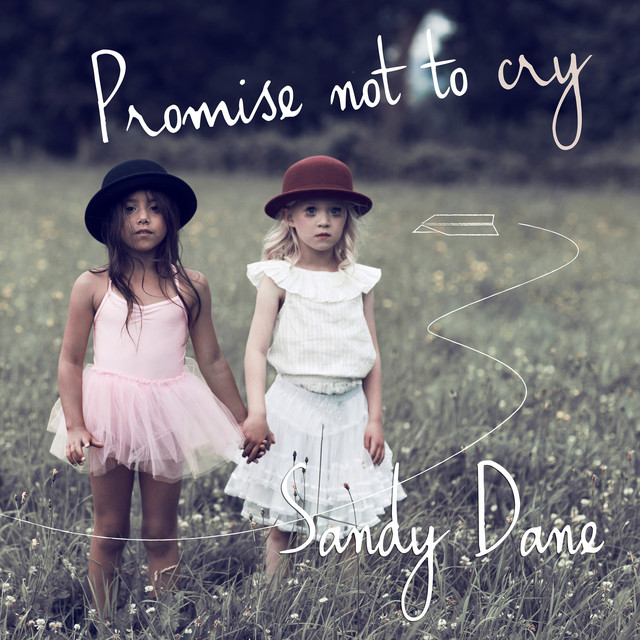 Promise not to cry cover