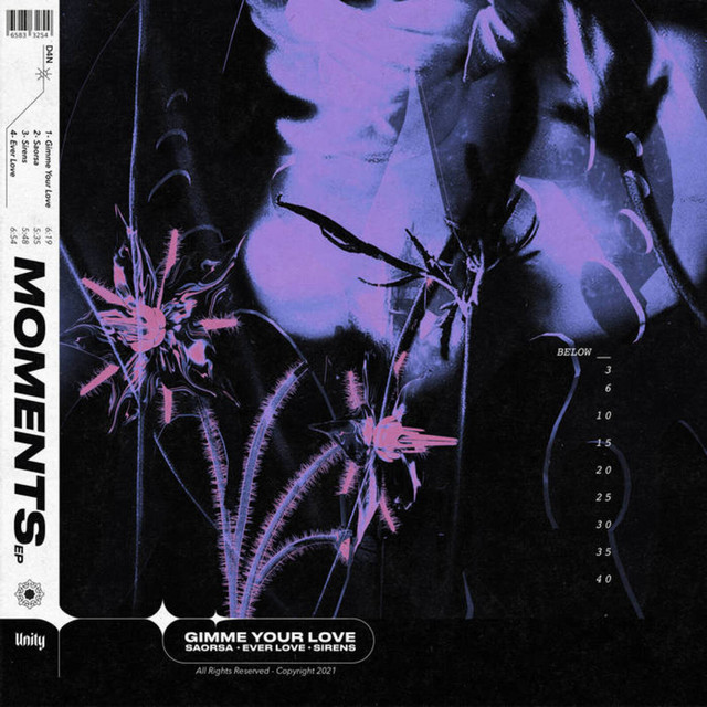 SIRENS (NTBR RAVE REMIX) cover