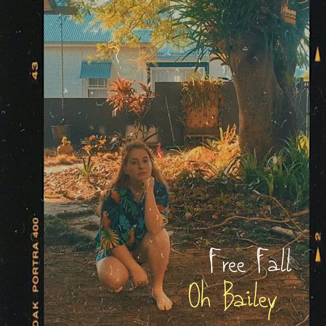 Free Fall cover