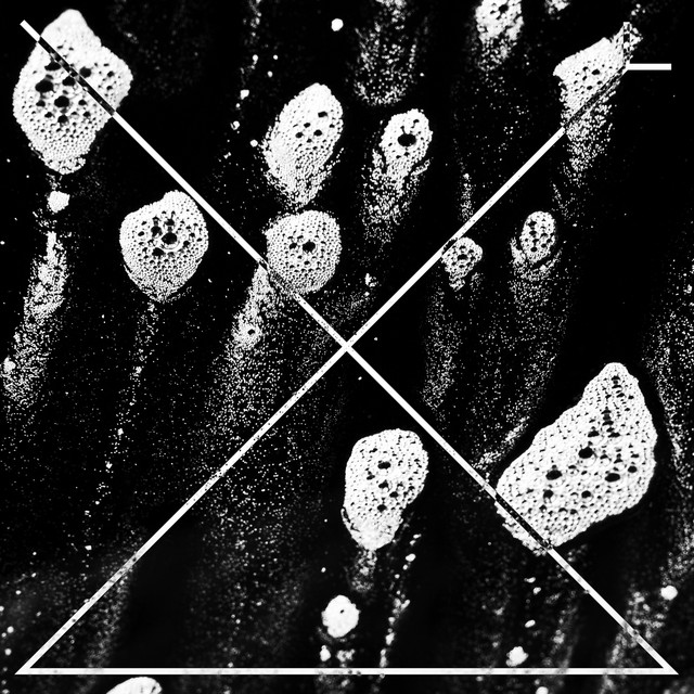 Contaminasssão cover art