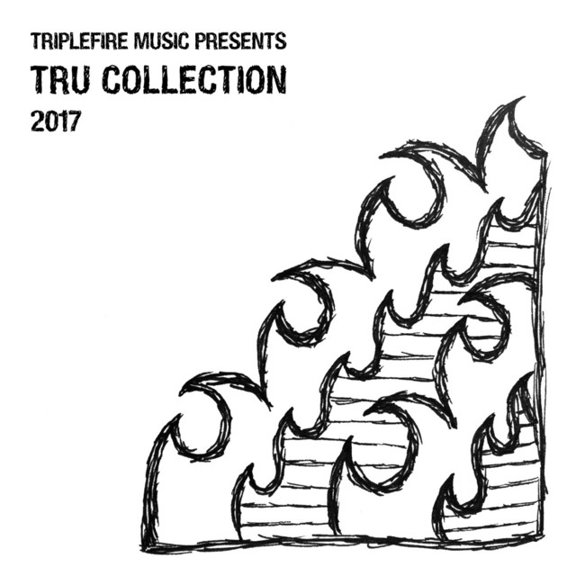 TRU Collection 2017 cover art