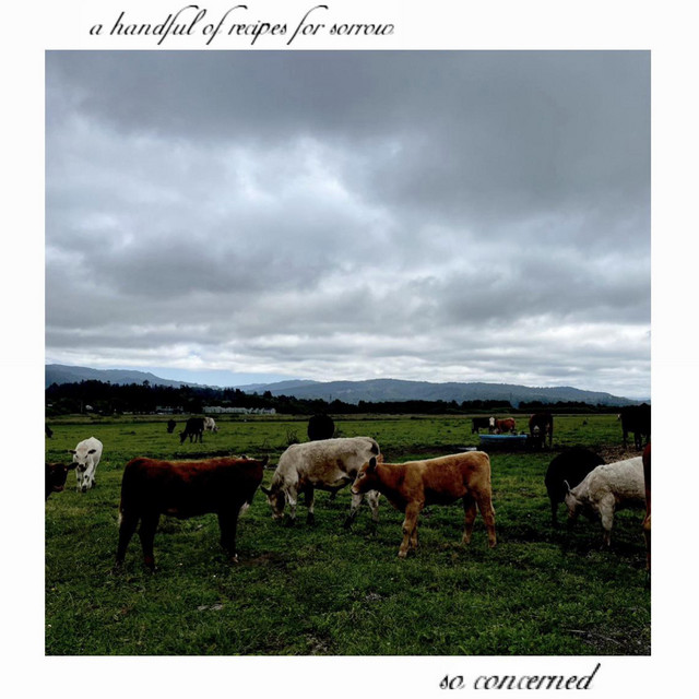 A Handful of Recipes for Sorrow cover art