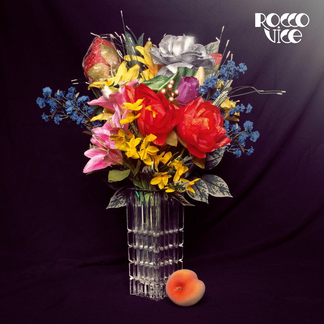 Rocco vice cover art