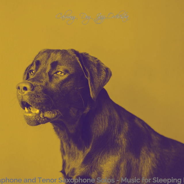 Vibraphone and Tenor Saxophone Solos - Music for Sleeping Dogs cover art