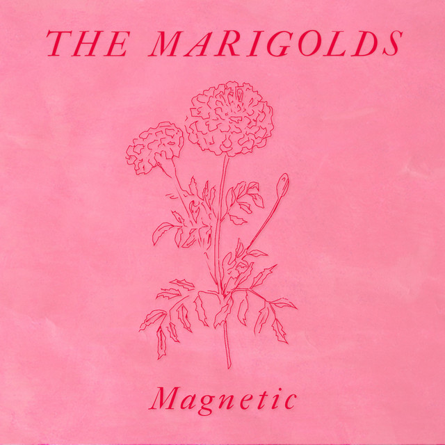 Magnetic cover