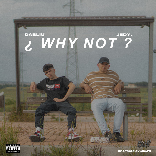 ¿ Why Not ? cover art