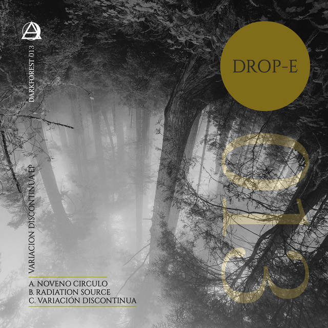 Variación Discontinua cover art