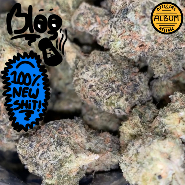 100% new shit! cover art