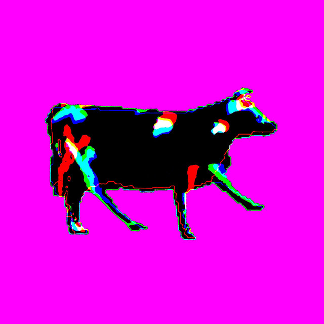 Dancing Polish Cow Single by Cow Vibing Spotify