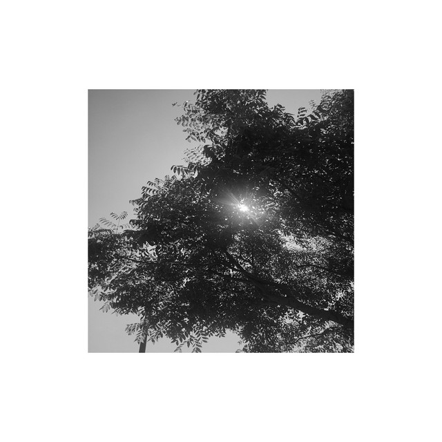 untitled.