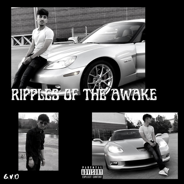 Ripples Of The Awake cover art