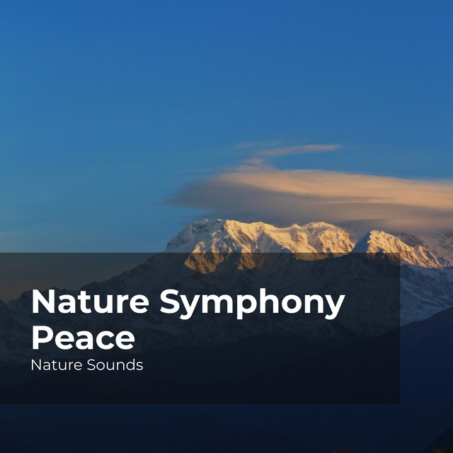 Nature Symphony Peace cover art