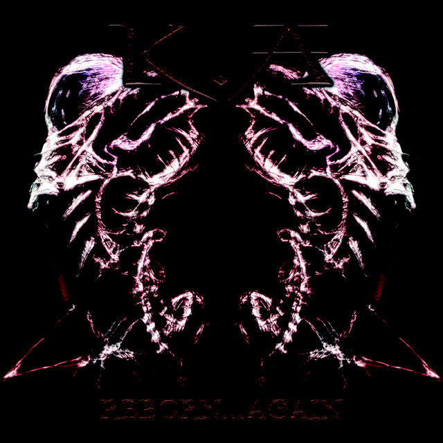 Reborn Again cover art