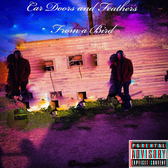 Car Doors and Feathers from a Bird cover art