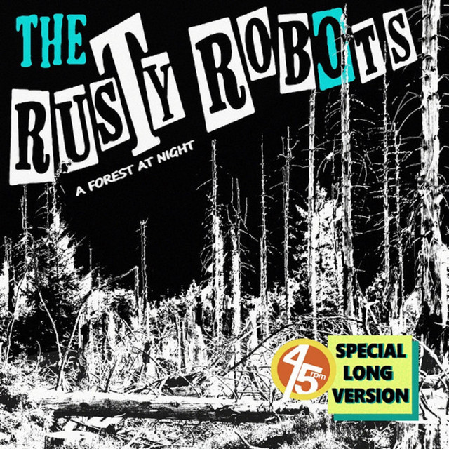A Forest at Night 45rpm Special Long Version cover
