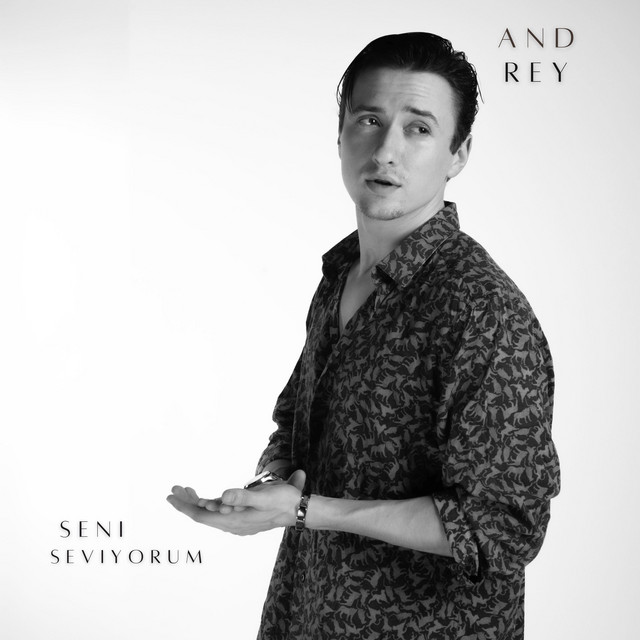 Seni Seviyorum cover art