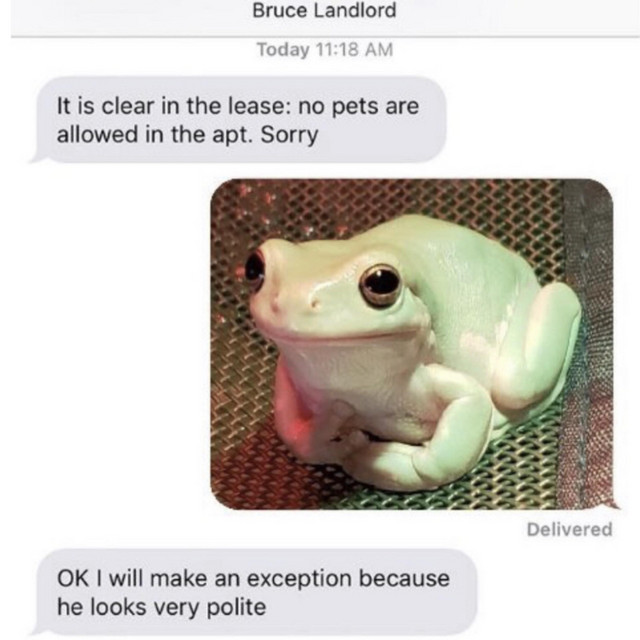he looks very polite cover art