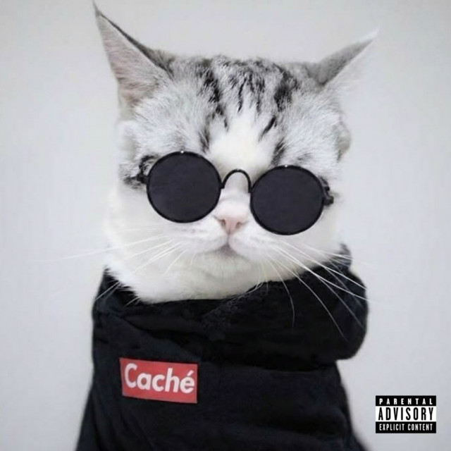 MIAU cover art