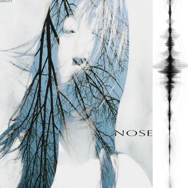 nose cover art