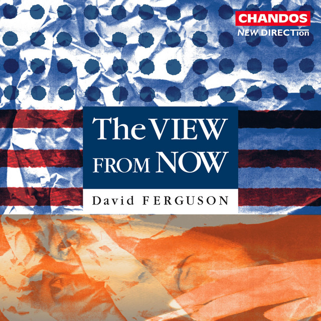 Ferguson: The View from Now cover art