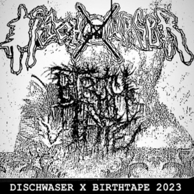 BIRTHTAPE / DISCHWASER SPLIT cover art