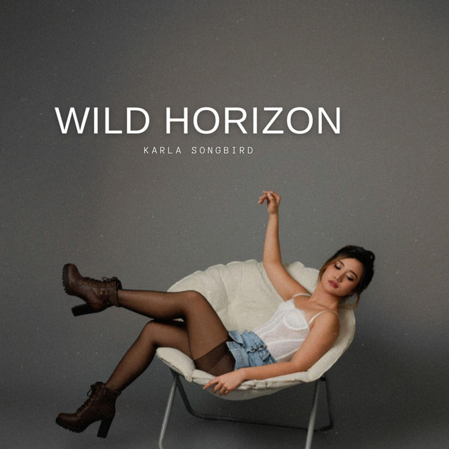wild horizon cover art