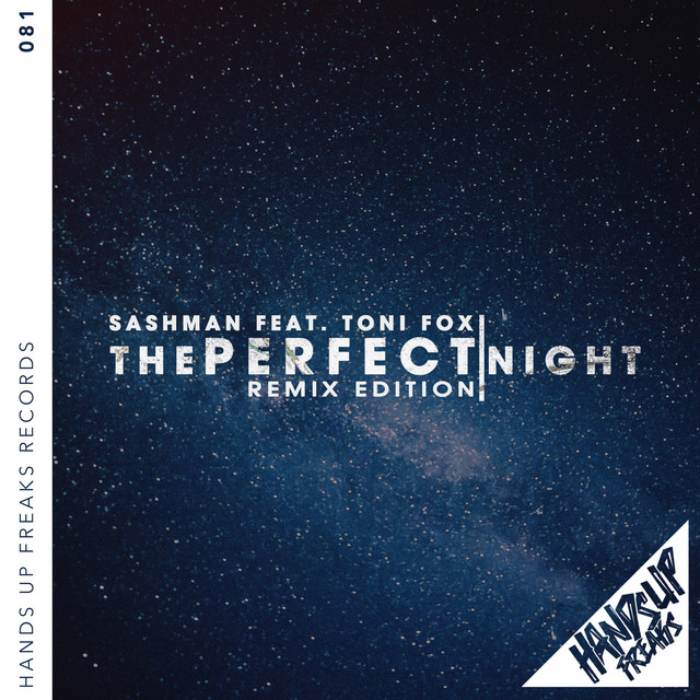 The Perfect Night - Xelerator Remix cover art