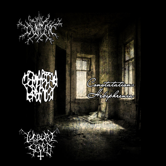 Cover art for Lugburz Sleed — Constatation: Hebephrenia