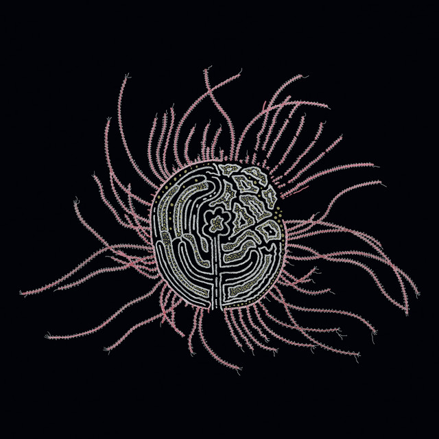 Bearings: Soundtracks for the Bardos cover art