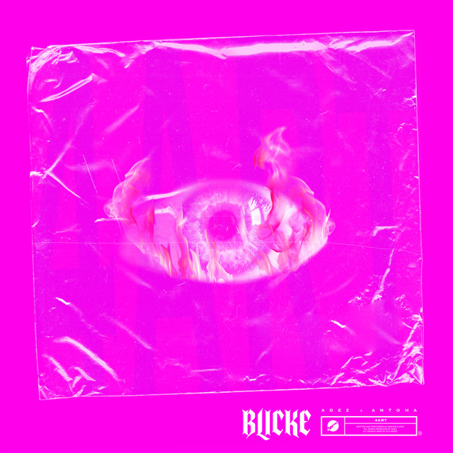 Blicke cover art