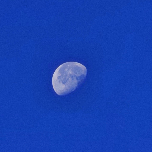 Moonlight