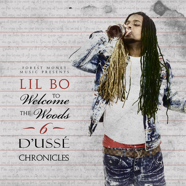 Welcome to the woods 6: Dusse Chronicles cover art