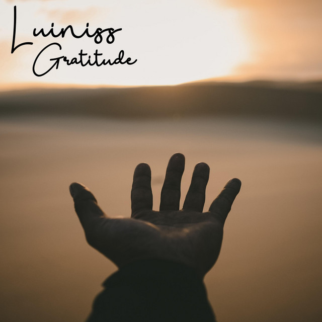 Gratitude - Single by Luiniss | Spotify