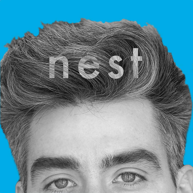 Nest cover art
