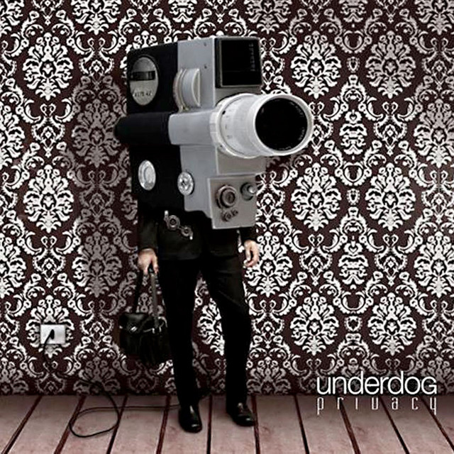 Privacy cover art
