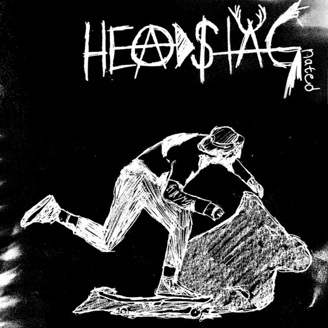 Headstagnated cover