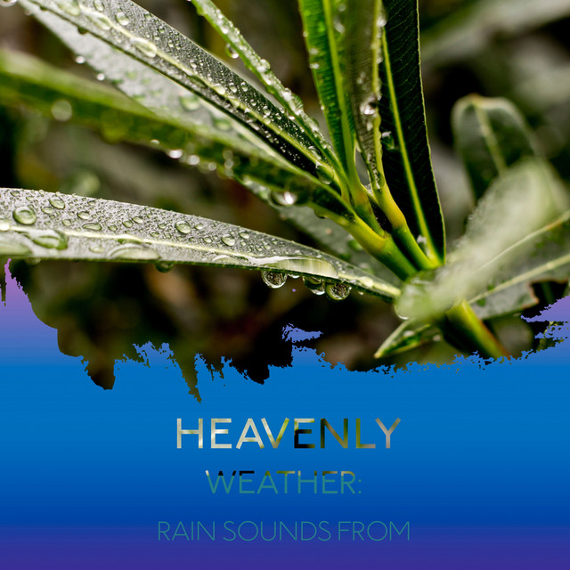 Heavenly Weather: Rain Sounds from the Moors cover art