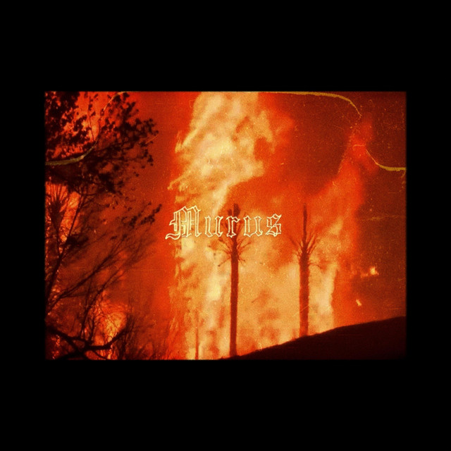 murus cover art