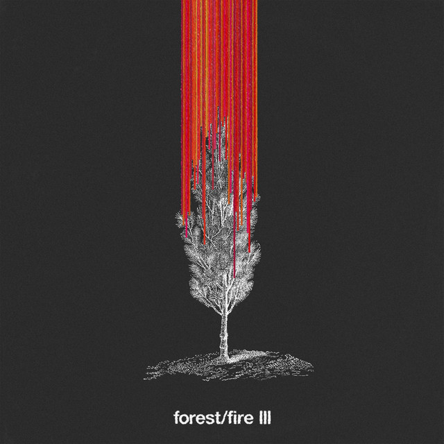forest/fire III (forever version) cover art