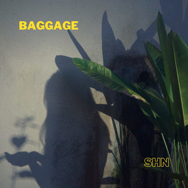 baggage - Single by SHN | Spotify