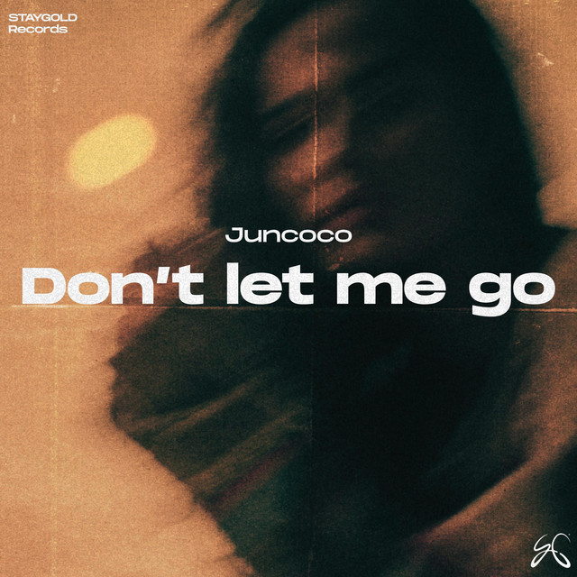 Don't Let Me Go cover