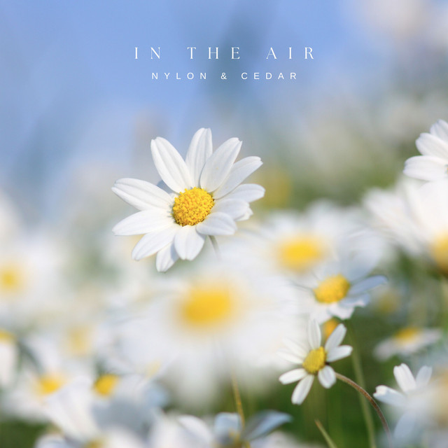 In The Air