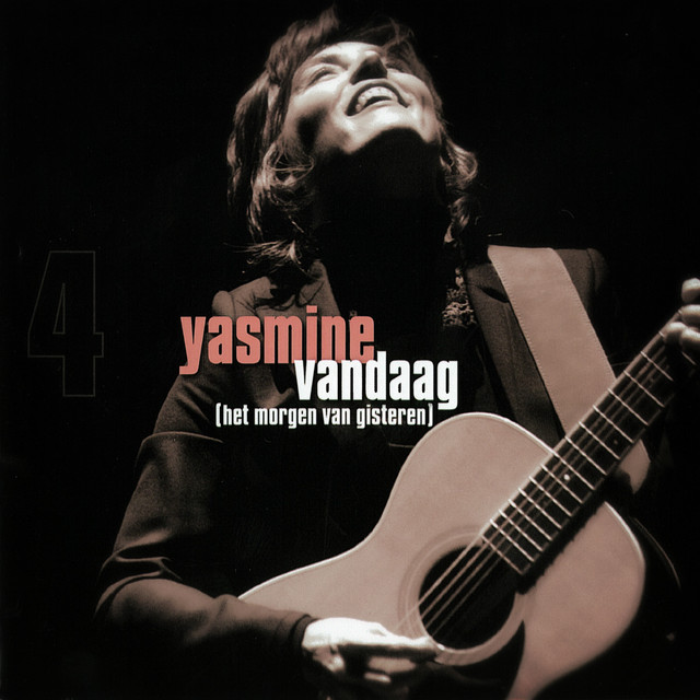 Vandaag cover art